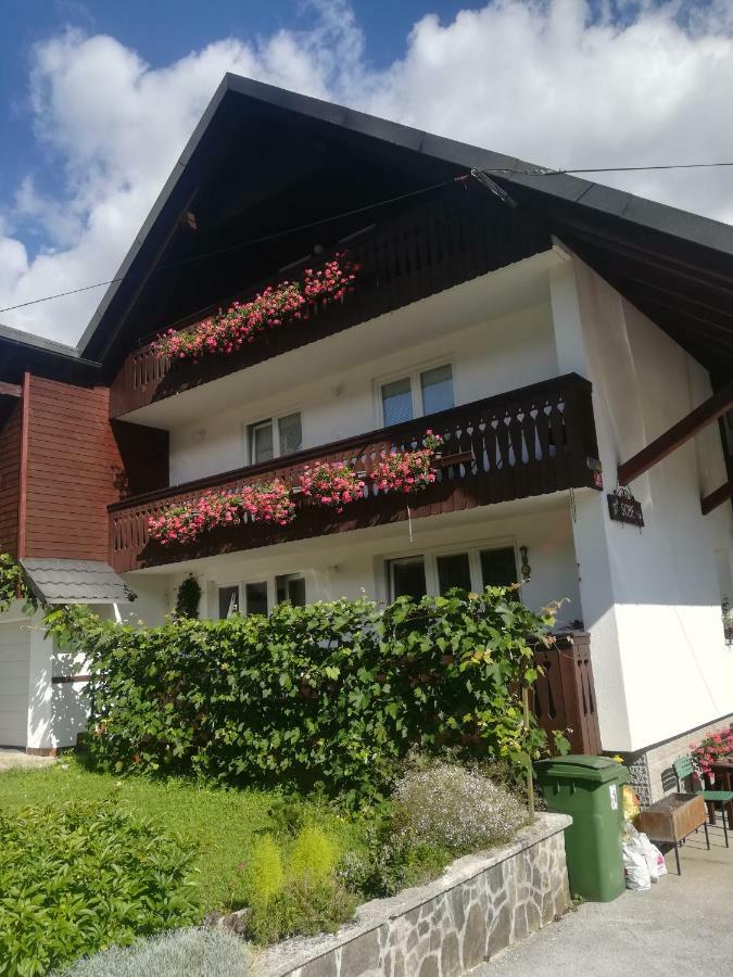 Apartments And Rooms Cerkovnik Бохінь Екстер'єр фото